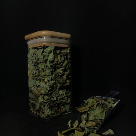 Moringa