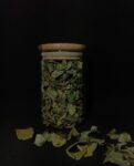 Moringa