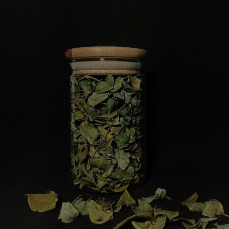 Moringa