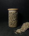 Salvia